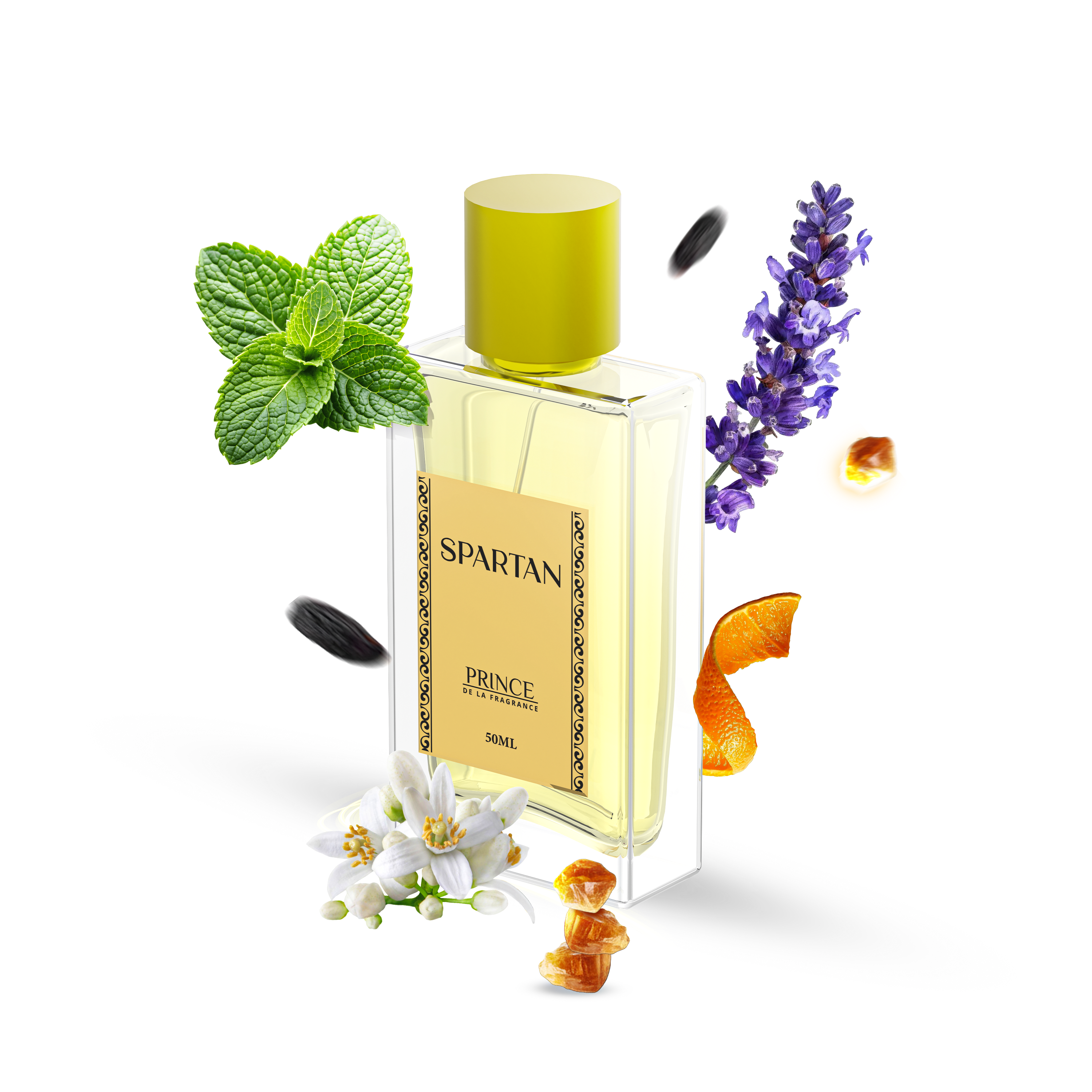 Spartan - L'Aura de Victoire - MPF